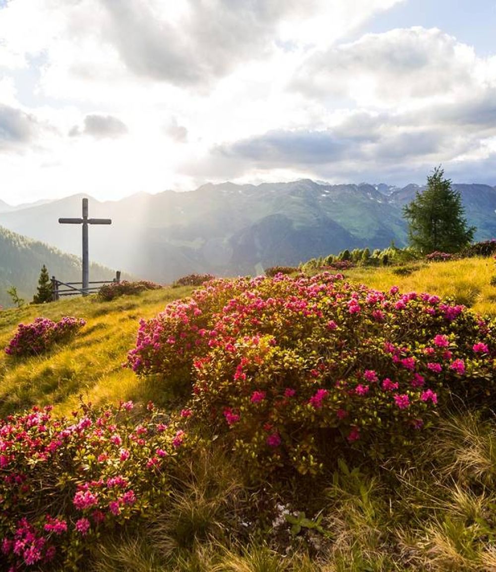 Fai un'escursione alla croce di vetta in Val Casies