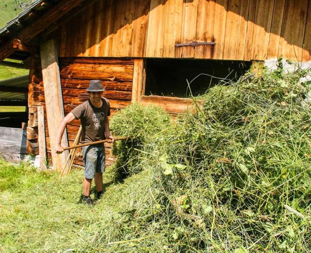 Heuarbeit auf der Alm