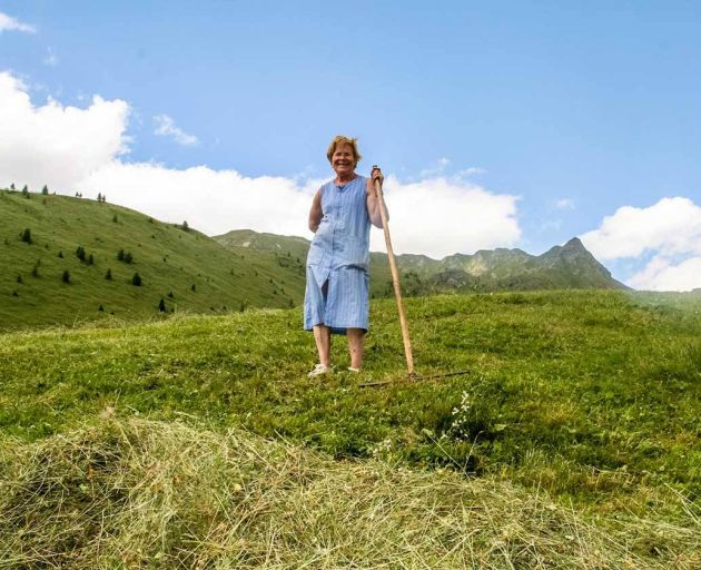 Raccolta del fieno in montagna