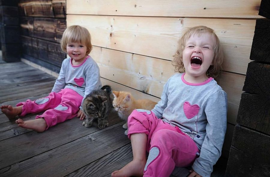 Katzen mit Kinder auf dem Balkon