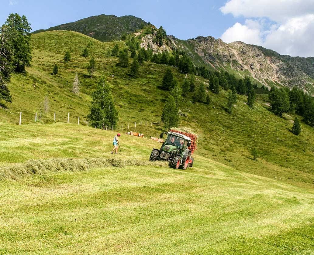 Heuernte mit dem Traktor auf unserer Alm im Versell