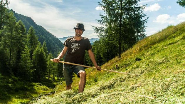 Raccolta del fieno sul pascolo alpino